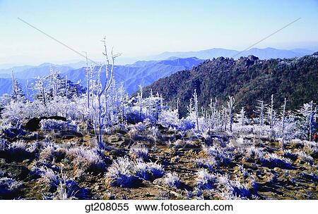 Korea, nature, landscape, scenery, scene, Jiri mountain, Jiri View Large Photo Image Stock Photography - Korea, nature, landscape, scenery, scene, Jiri mountain, Jiri. Fotosearch