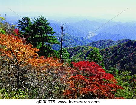 Korea, nature, landscape, scenery, scene, Jiri mountain, Jiri View Large Photo Image Stock Photography - Korea, nature, landscape, scenery, scene, Jiri mountain, Jiri. Fotosearch
