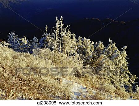 Korea, nature, landscape, scenery, scene, Jiri mountain, Jiri View Large Photo Image Stock Photography - Korea, nature, landscape, scenery, scene, Jiri mountain, Jiri. Fotosearch