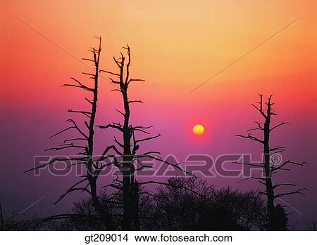 Picture - Korea, nature, landscape, scenery, scene, outdoor, exterior. Fotosearch