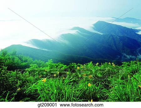 Stock Image - Korea, nature, landscape, scenery, scene, outdoor, exterior. Fotosearch