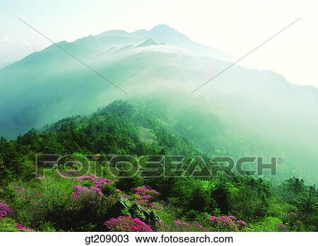 Korea, nature, landscape, scenery, scene, outdoor, exterior View Large Photo Image Stock Image - Korea, nature, landscape, scenery, scene, outdoor, exterior. Fotosearch
