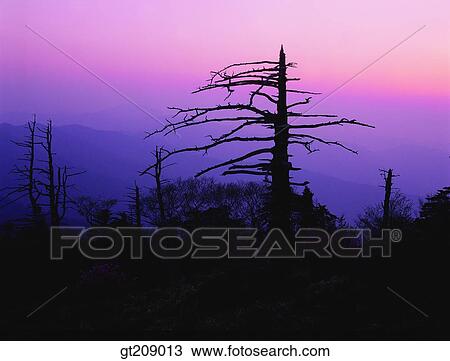 Korea, nature, landscape, scenery, scene, outdoor, exterior View Large Photo Image Stock Image - Korea, nature, landscape, scenery, scene, outdoor, exterior. Fotosearch