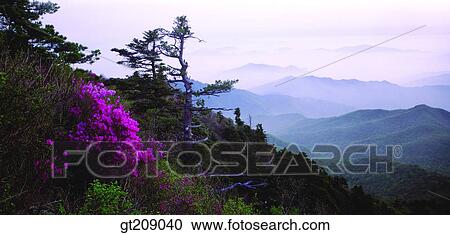 Korea, nature, landscape, scenery, scene, outdoor, exterior View Large Photo Image Stock Image - Korea, nature, landscape, scenery, scene, outdoor, exterior. Fotosearch