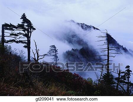 Korea, nature, landscape, scenery, scene, outdoor, exterior View Large Photo Image Stock Image - Korea, nature, landscape, scenery, scene, outdoor, exterior. Fotosearch