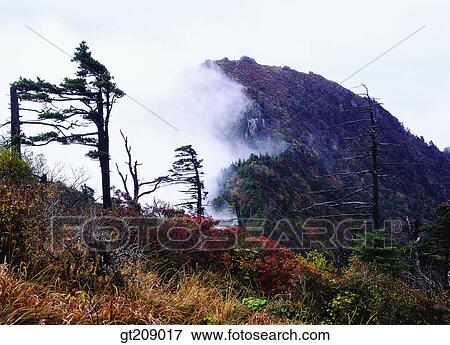 Stock Photo - Korea, nature, landscape, scenery, scene, outdoor, exterior. Fotosearch