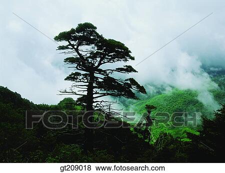 Korea, nature, landscape, scenery, scene, outdoor, exterior View Large Photo Image Stock Photo - Korea, nature, landscape, scenery, scene, outdoor, exterior. Fotosearch