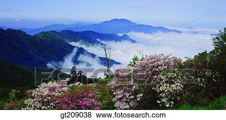 Korea, nature, landscape, scenery, scene, outdoor, exterior View Large Photo Image Stock Photo - Korea, nature, landscape, scenery, scene, outdoor, exterior. Fotosearch