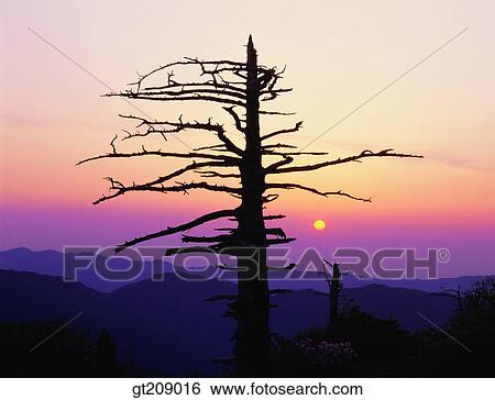 Korea, nature, landscape, scenery, scene, outdoor, exterior View Large Photo Image Stock Photograph - Korea, nature, landscape, scenery, scene, outdoor, exterior. Fotosearch