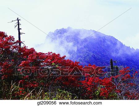 Korea, nature, landscape, scenery, scene, outdoor, exterior View Large Photo Image Stock Photograph - Korea, nature, landscape, scenery, scene, outdoor, exterior. Fotosearch