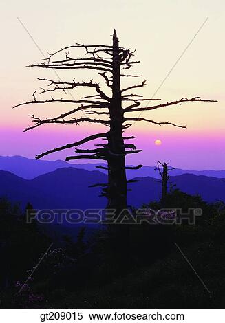 Korea, nature, landscape, scenery, scene, outdoor, exterior View Large Photo Image Stock Photography - Korea, nature, landscape, scenery, scene, outdoor, exterior. Fotosearch