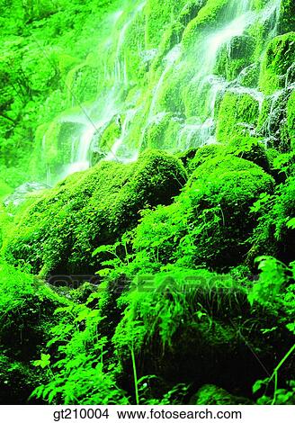 Korea, scene, scenery, landscape, valley, mountain, waterfall View Large Photo Image Picture - Korea, scene, scenery, landscape, valley, mountain, waterfall. Fotosearch