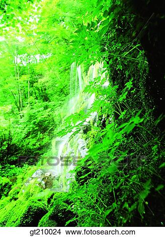 Korea, scene, scenery, landscape, valley, mountain, waterfall View Large Photo Image Picture - Korea, scene, scenery, landscape, valley, mountain, waterfall. Fotosearch
