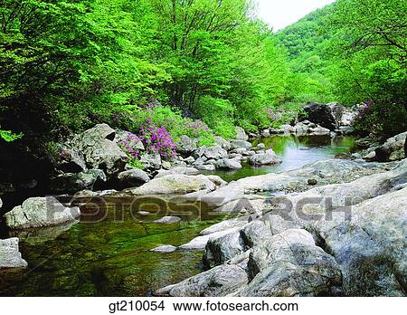 Korea, scene, scenery, landscape, valley, mountain, rock View Large Photo Image Picture - Korea, scene, scenery, landscape, valley, mountain, rock. Fotosearch