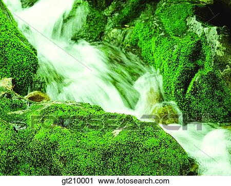 Korea, scene, scenery, landscape, valley, mountain, moss View Large Photo Image Stock Image - Korea, scene, scenery, landscape, valley, mountain, moss. Fotosearch