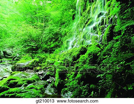 Korea, scene, scenery, landscape, valley, mountain, moss View Large Photo Image Stock Image - Korea, scene, scenery, landscape, valley, mountain, moss. Fotosearch