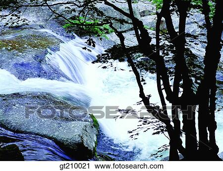 Stock Image - Korea, scene, scenery, landscape, valley, mountain, tree. Fotosearch