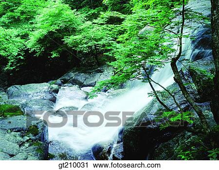 Stock Image - Korea, scene, scenery, landscape, valley, mountain, tree. Fotosearch