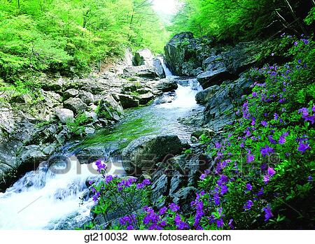 Stock Image - Korea, scene, scenery, landscape, valley, mountain, flower. Fotosearch