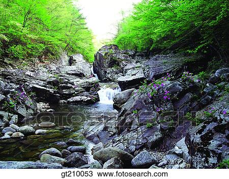 Korea, scene, scenery, landscape, valley, mountain, rock View Large Photo Image Stock Image - Korea, scene, scenery, landscape, valley, mountain, rock. Fotosearch