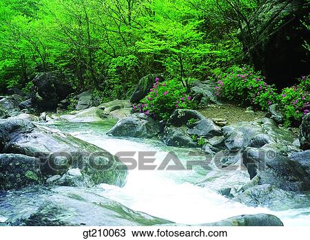 Korea, scene, scenery, landscape, valley, mountain, rock View Large Photo Image Stock Image - Korea, scene, scenery, landscape, valley, mountain, rock. Fotosearch