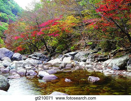 Korea, scene, scenery, landscape, valley, mountain, tree View Large Photo Image Stock Image - Korea, scene, scenery, landscape, valley, mountain, tree. Fotosearch