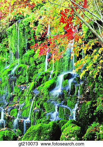 Stock Image - Korea, scene, scenery, landscape, valley, mountain, tree. Fotosearch
