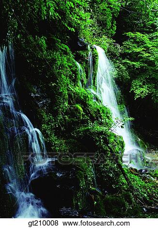 Korea, scene, scenery, landscape, valley, mountain, moss View Large Photo Image Stock Photo - Korea, scene, scenery, landscape, valley, mountain, moss. Fotosearch