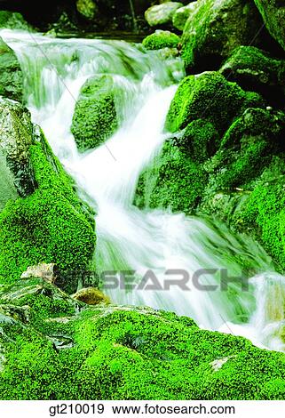 Korea, scene, scenery, landscape, valley, mountain, moss View Large Photo Image Stock Photo - Korea, scene, scenery, landscape, valley, mountain, moss. Fotosearch