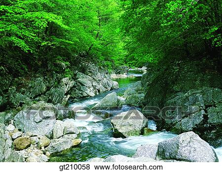 Korea, scene, scenery, landscape, valley, mountain, valleywater View Large Photo Image Stock Photo - Korea, scene, scenery, landscape, valley, mountain, valleywater. Fotosearch