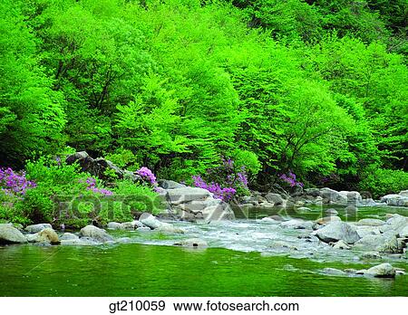 Korea, scene, scenery, landscape, valley, mountain, valleywater View Large Photo Image Stock Photo - Korea, scene, scenery, landscape, valley, mountain, valleywater. Fotosearch