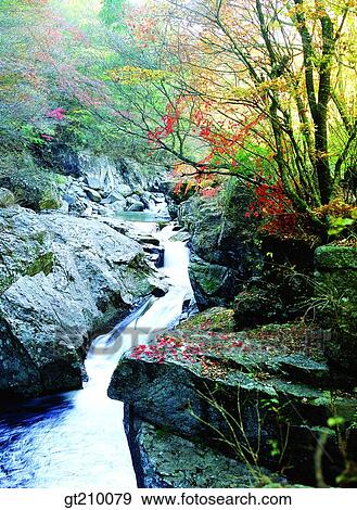 Korea, scene, scenery, landscape, valley, mountain, tree View Large Photo Image Stock Photo - Korea, scene, scenery, landscape, valley, mountain, tree. Fotosearch