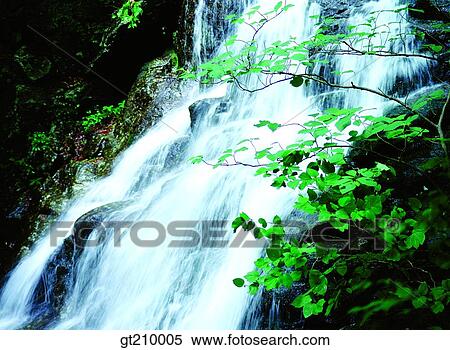 Korea, scene, scenery, landscape, valley, mountain, waterfall View Large Photo Image Stock Photography - Korea, scene, scenery, landscape, valley, mountain, waterfall. Fotosearch