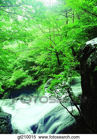 Korea, scene, scenery, landscape, valley, mountain, forest View Large Photo Image Stock Photography - Korea, scene, scenery, landscape, valley, mountain, forest. Fotosearch