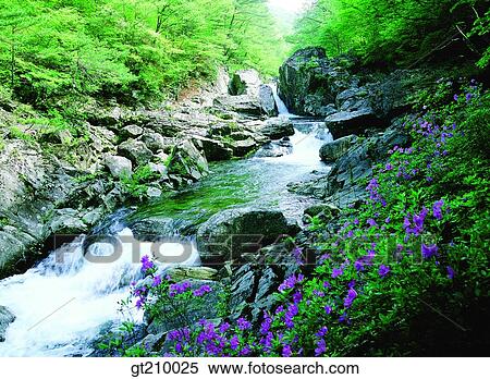 Korea, scene, scenery, landscape, valley, mountain, valleywater View Large Photo Image Stock Photography - Korea, scene, scenery, landscape, valley, mountain, valleywater. Fotosearch