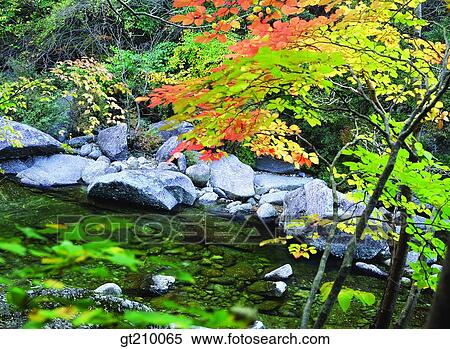 Stock Photography - Korea, scene, scenery, landscape, valley, mountain, fallen leaves. Fotosearch