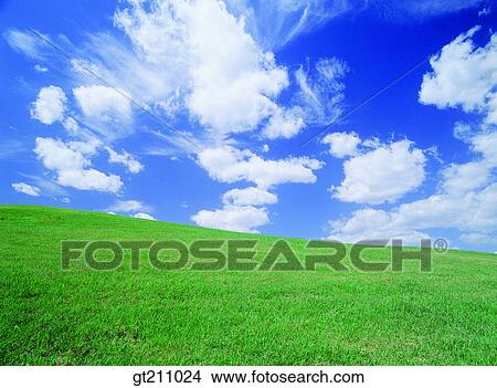 空 雲 雲 牧草地 フィールド 平野 芝生 ピクチャー Gt Fotosearch