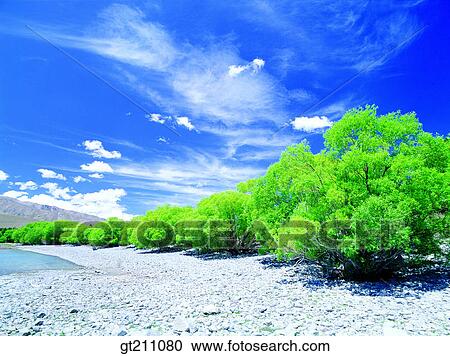 Stock Image - riverside, river, gravelly field, shingle, gravel road, pebble, field. Fotosearch