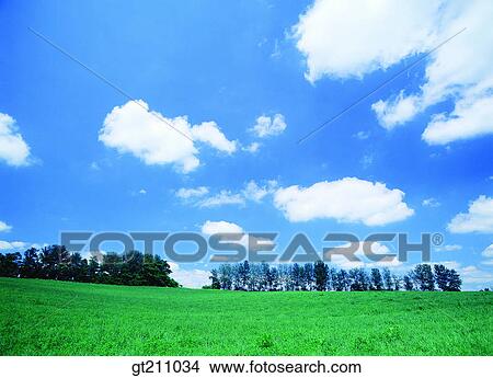 sky, cloud, clouds, grassland, field, plain, lawn View Large Photo Image Picture - sky, cloud, clouds, grassland, field, plain, lawn. Fotosearch