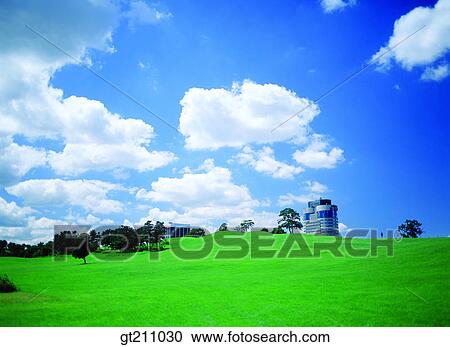 sky, cloud, clouds, grassland, field, plain, lawn View Large Photo Image Stock Image - sky, cloud, clouds, grassland, field, plain, lawn. Fotosearch
