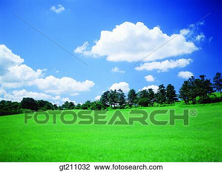 sky, cloud, clouds, grassland, field, plain, lawn View Large Photo Image Stock Image - sky, cloud, clouds, grassland, field, plain, lawn. Fotosearch