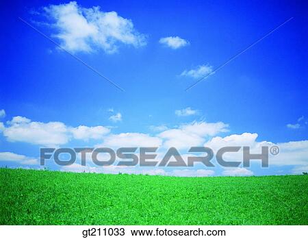 sky, cloud, clouds, grassland, field, plain, lawn View Large Photo Image Stock Image - sky, cloud, clouds, grassland, field, plain, lawn. Fotosearch