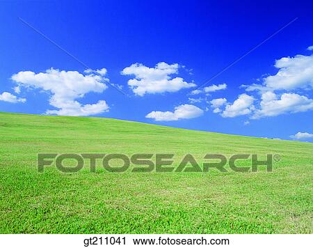 sky, cloud, clouds, grassland, field, plain, lawn View Large Photo Image Stock Image - sky, cloud, clouds, grassland, field, plain, lawn. Fotosearch
