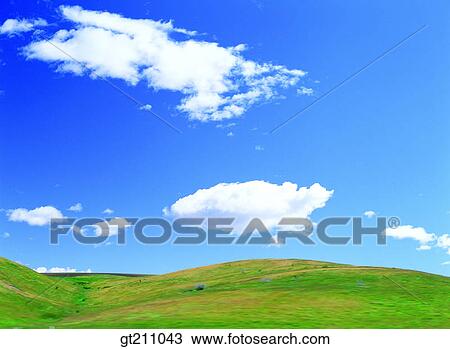 sky, cloud, clouds, grassland, field, plain, lawn View Large Photo Image Stock Image - sky, cloud, clouds, grassland, field, plain, lawn. Fotosearch