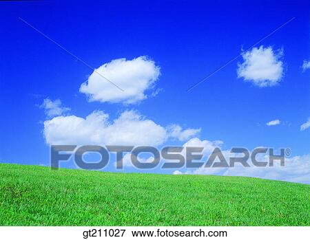 sky, cloud, clouds, grassland, field, plain, lawn View Large Photo Image Stock Photo - sky, cloud, clouds, grassland, field, plain, lawn. Fotosearch