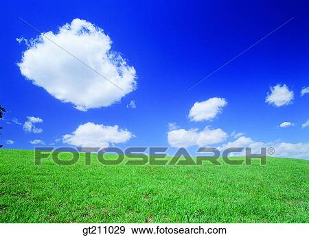 sky, cloud, clouds, grassland, field, plain, lawn View Large Photo Image Stock Photo - sky, cloud, clouds, grassland, field, plain, lawn. Fotosearch
