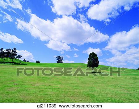 sky, cloud, clouds, grassland, field, plain, lawn View Large Photo Image Stock Photo - sky, cloud, clouds, grassland, field, plain, lawn. Fotosearch