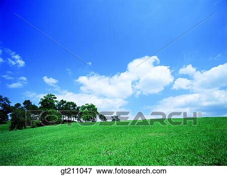 sky, cloud, clouds, grassland, field, plain, lawn View Large Photo Image Stock Photo - sky, cloud, clouds, grassland, field, plain, lawn. Fotosearch