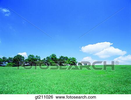 sky, cloud, clouds, grassland, field, plain, lawn View Large Photo Image Stock Photograph - sky, cloud, clouds, grassland, field, plain, lawn. Fotosearch