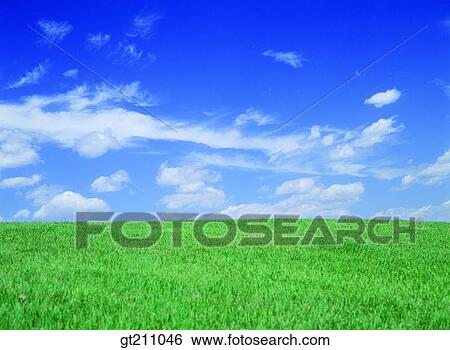 sky, cloud, clouds, grassland, field, plain, lawn View Large Photo Image Stock Photograph - sky, cloud, clouds, grassland, field, plain, lawn. Fotosearch